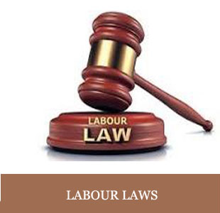 Labour Laws 